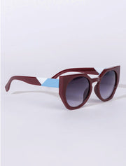 Plastic Frame Sunglasses, Wine Red